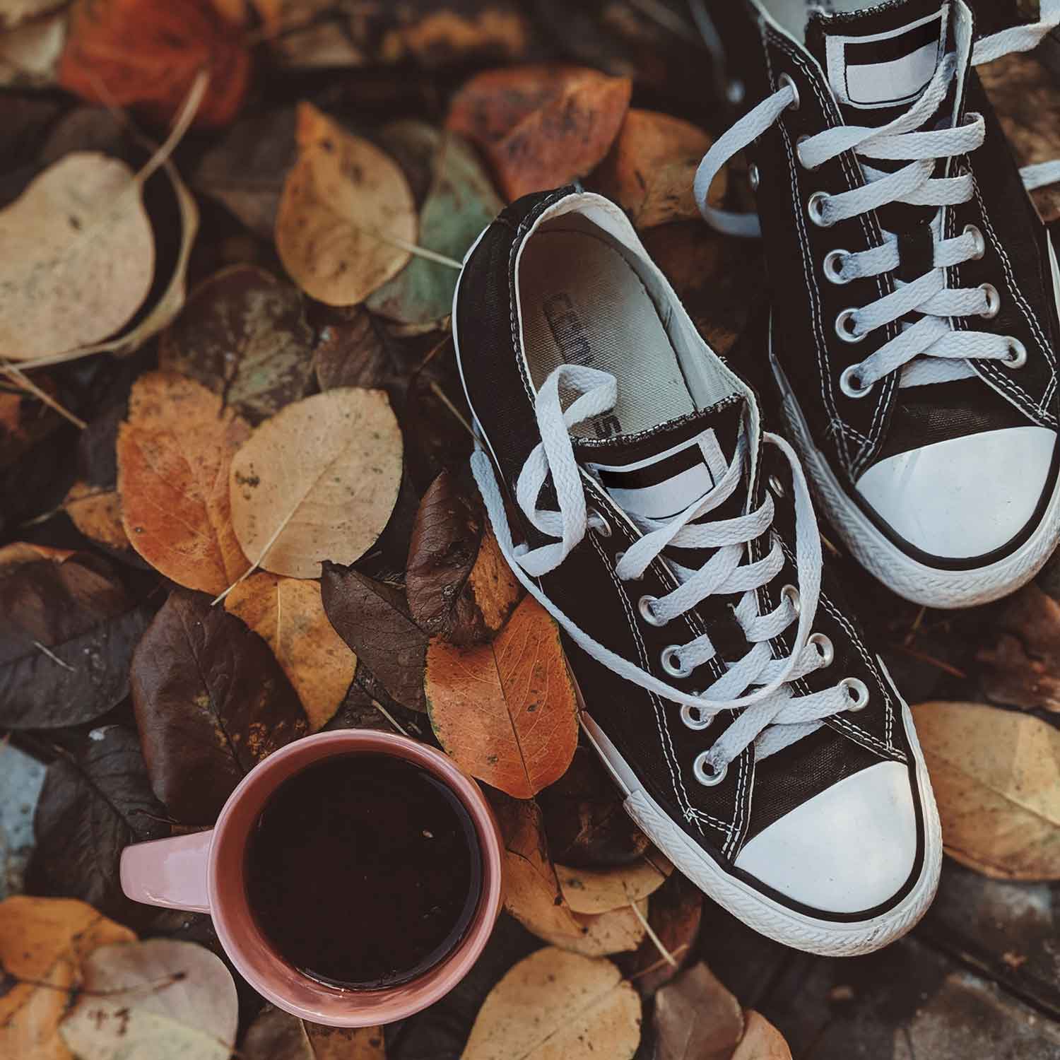 Carrousel-Sector-Calzado