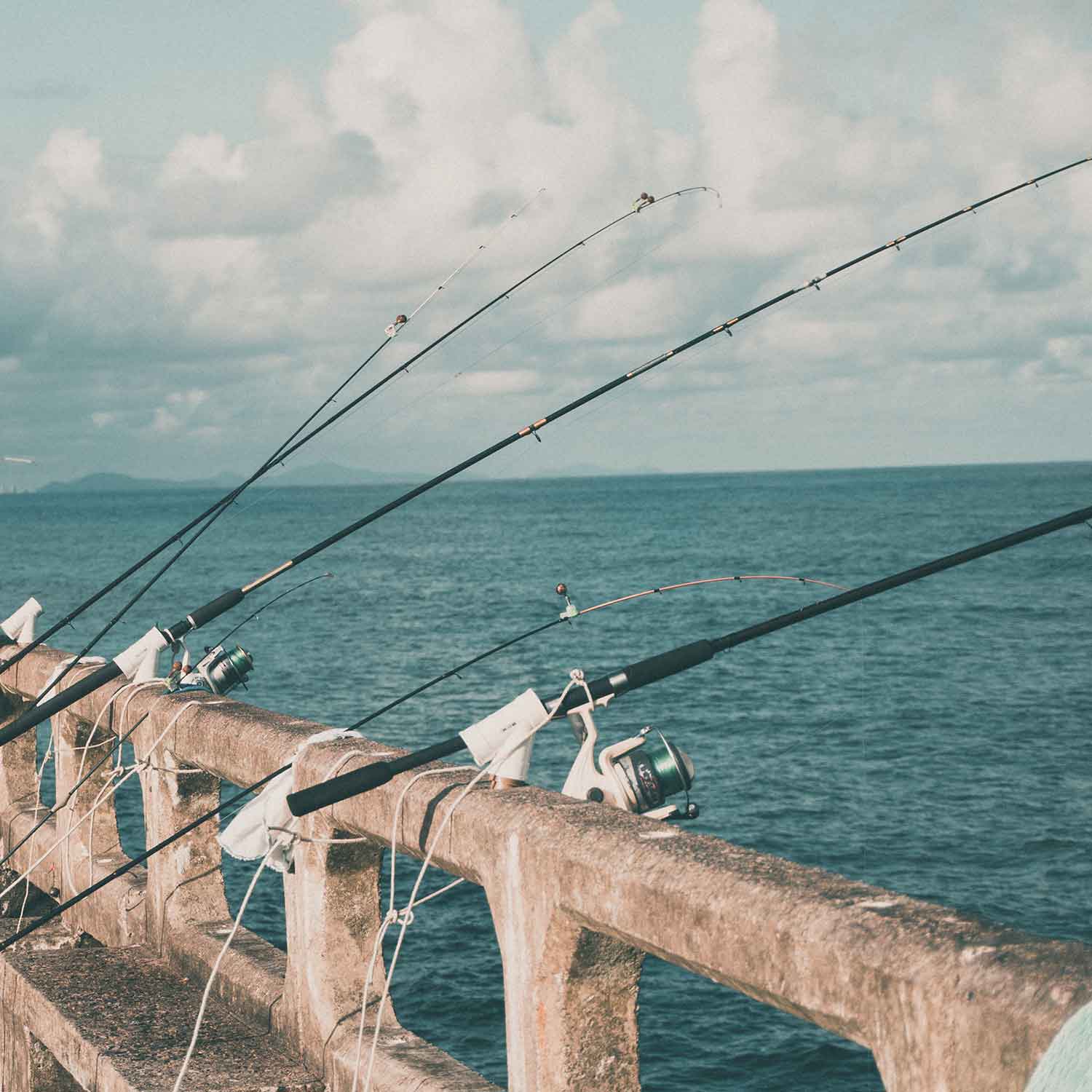 Carrousel-Sector-Pesca