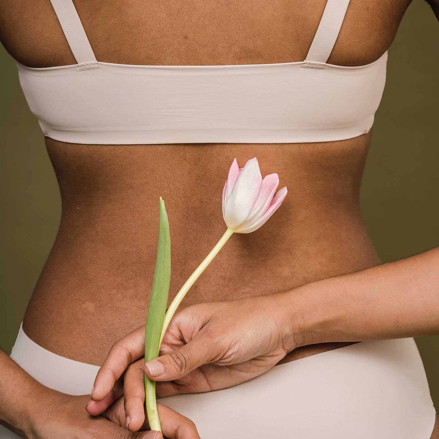 Carrousel-Setor-Lenceria