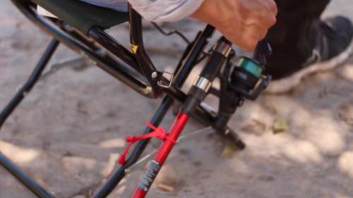 Cordón elástico para sujeción de cañas