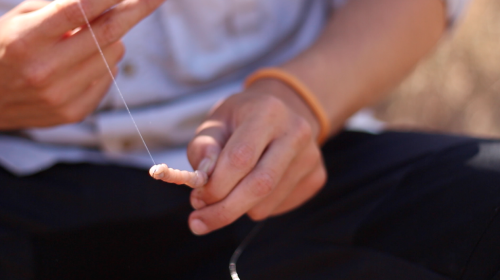 hilo elástico para cebo
